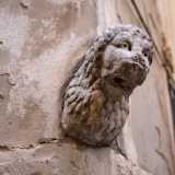 Una testa di leone, probabilmente coeva al bassorilievo delle arpie, spunta dal grigio intonaco del muro sul quale si trova. 